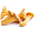 Frozen Chanterelle / Girolle / Echter Pfifferling